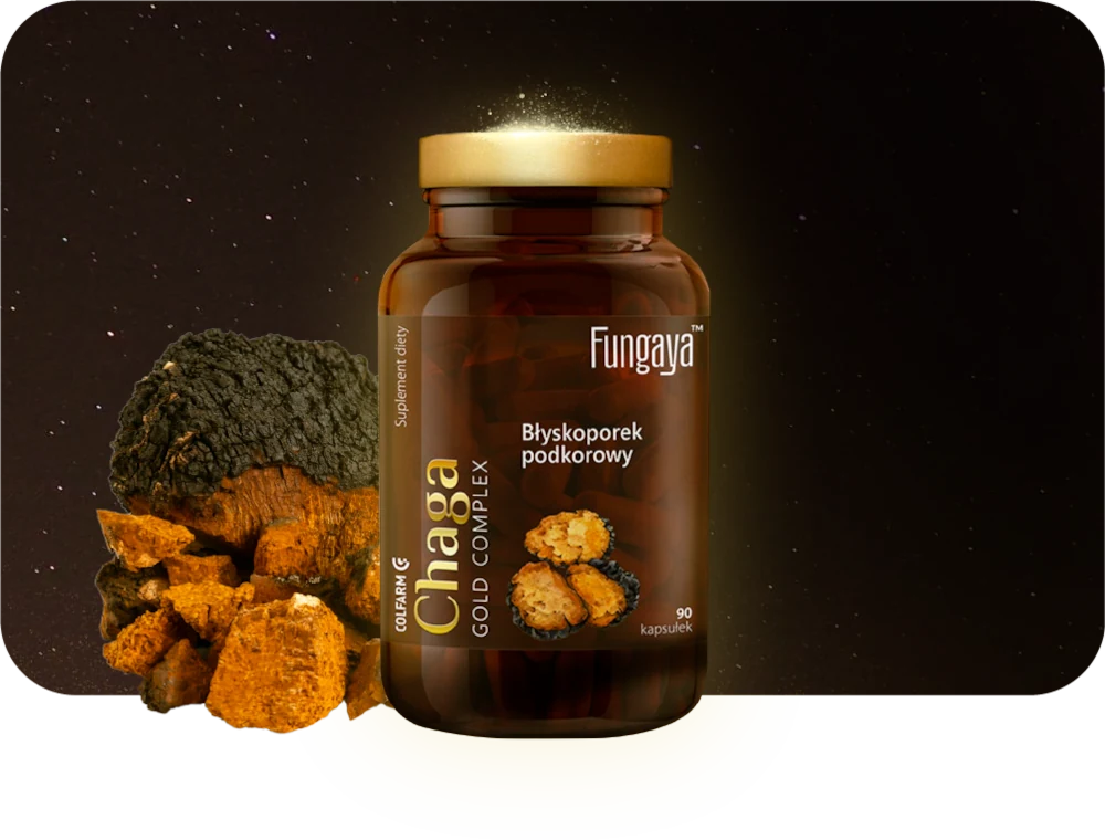 Fungaya Chaga