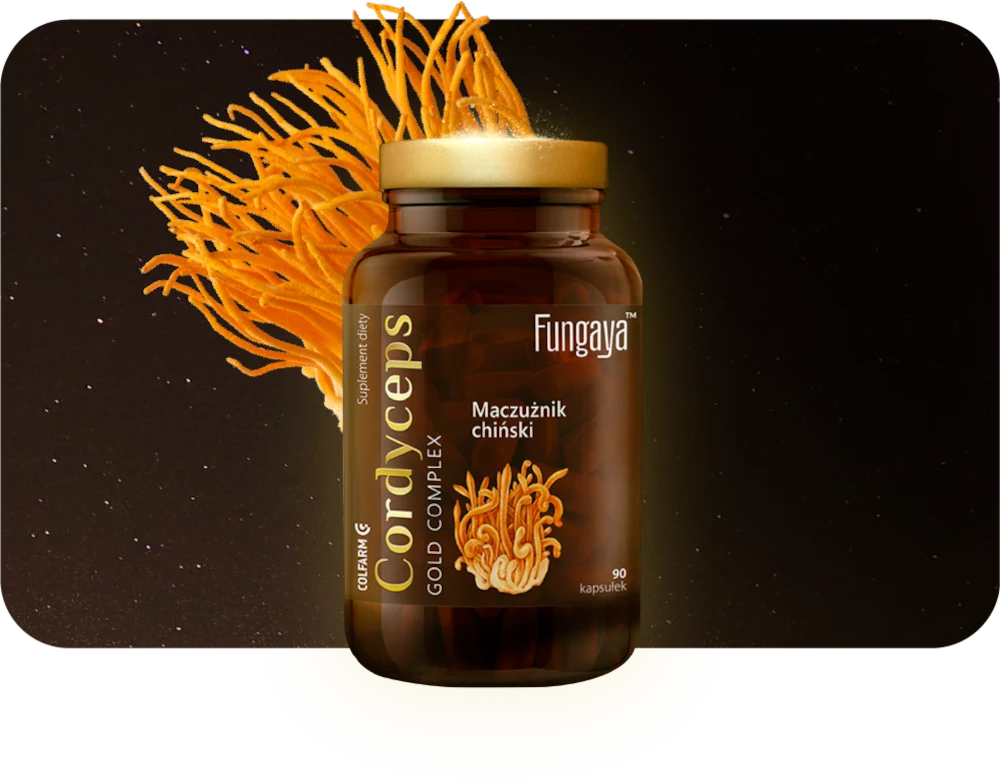 Fungaya Cordyceps