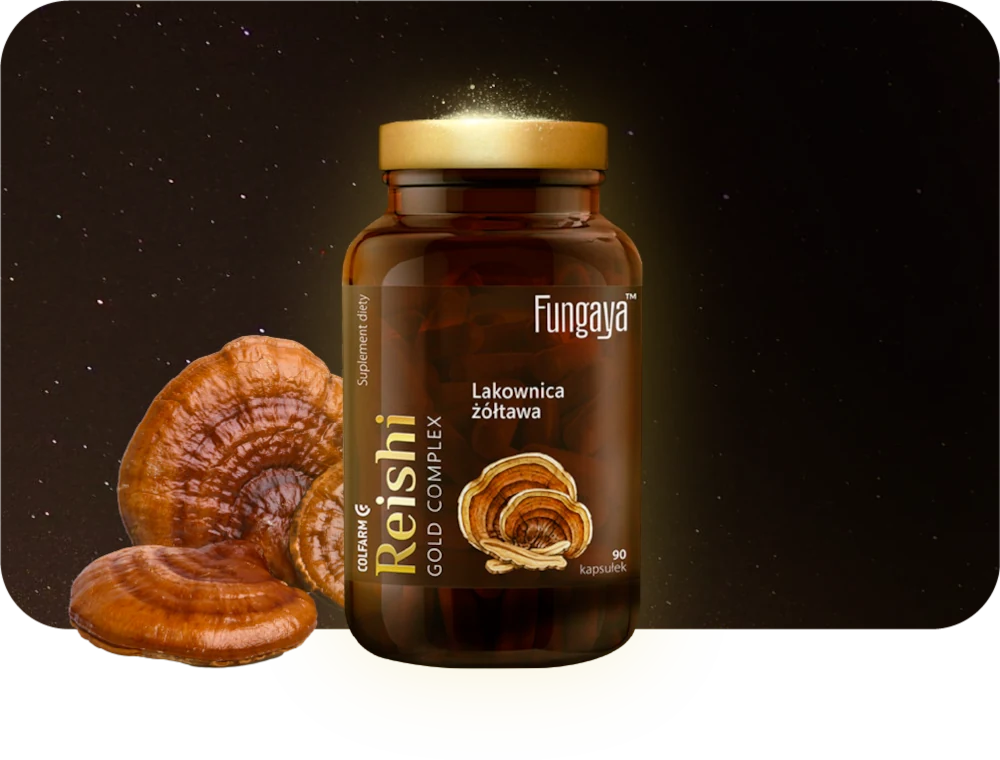 Fungaya Reishi
